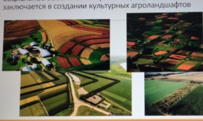 11 марта состоялся Круглый стол «Актуальные проблемы землеустройства и кадастров на современном этапе»