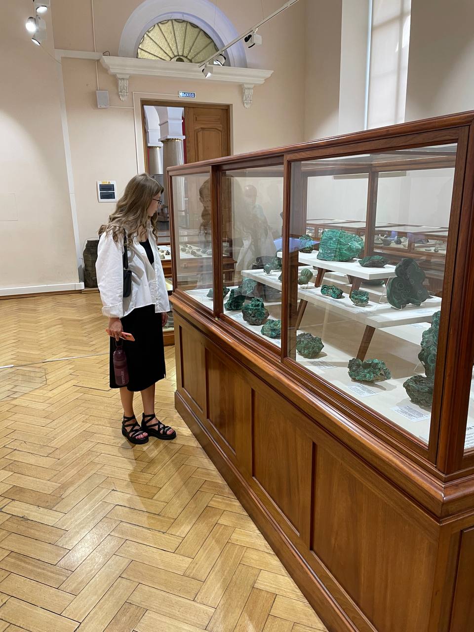 От Минерального кабинета Императорского Московского университета до первого естественнонаучного музея наших дней: геологическое прошлое планеты глазами студентов ГУЗ