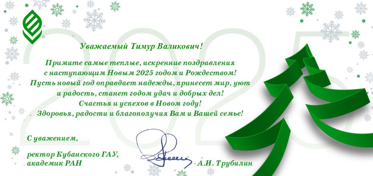 С наступающим Новым годом и Рождеством!