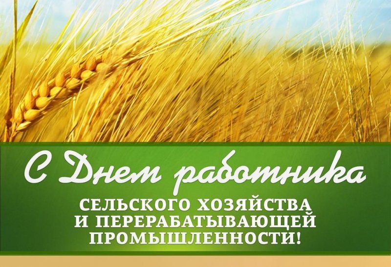 Поздравление ректора ГУЗ С.Н. Волкова с Днем работника сельского хозяйства и перерабатывающей промышленности