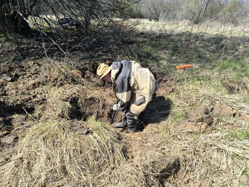 Они сражались и ждали 84 года: поисковики ГУЗ подняли останки 11 красноармейцев под Зубцовом