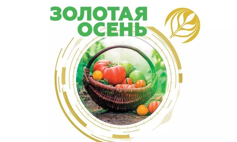 Государственный университет по землеустройству с 9 по 12 октября 2019 года принимал активное участие в 21 Российской агропромышленной выставке «Золотая Осень» на ВДНХ, где представил  на конкурсы свои научно-инновационные разработки. ИТОГИ.