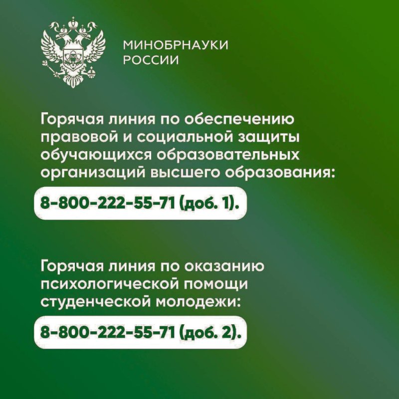 Горячая линия Минобрнауки для студенческой молодежи
