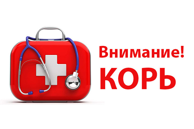 Внимание – корь!