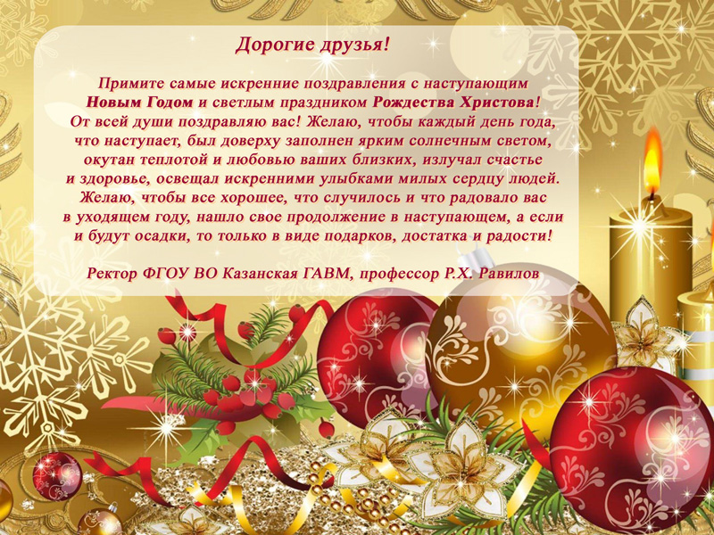 В адрес ГУЗ поступили поздравления с Новогодними праздниками