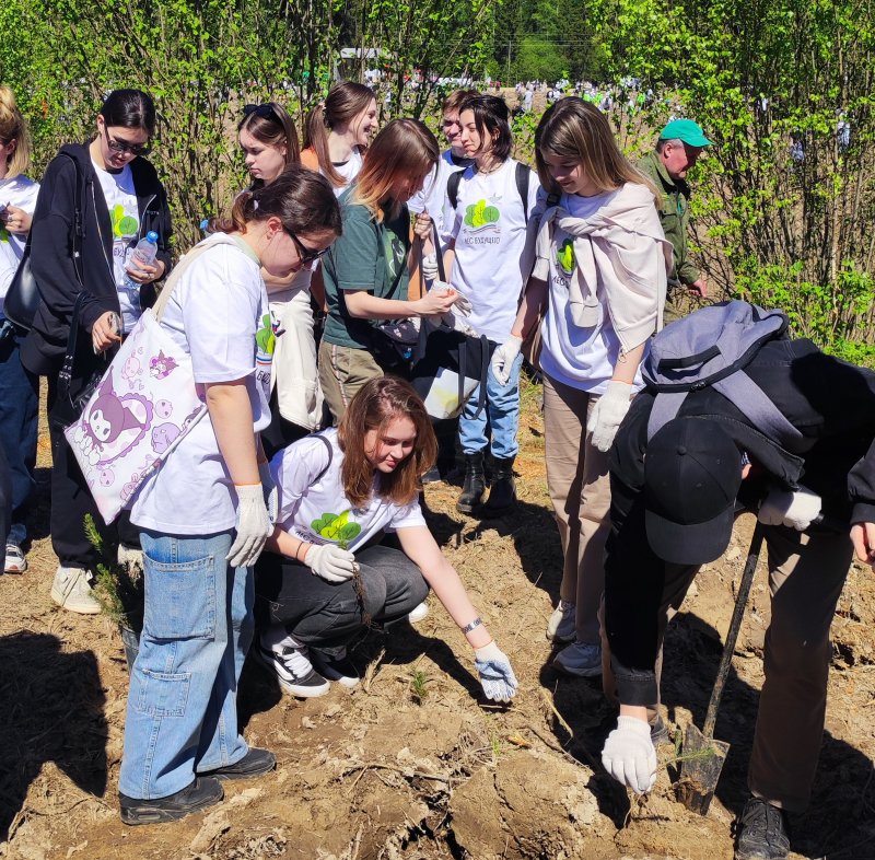 Преподаватели и студенты ГУЗ посадили «Лес будущего»
