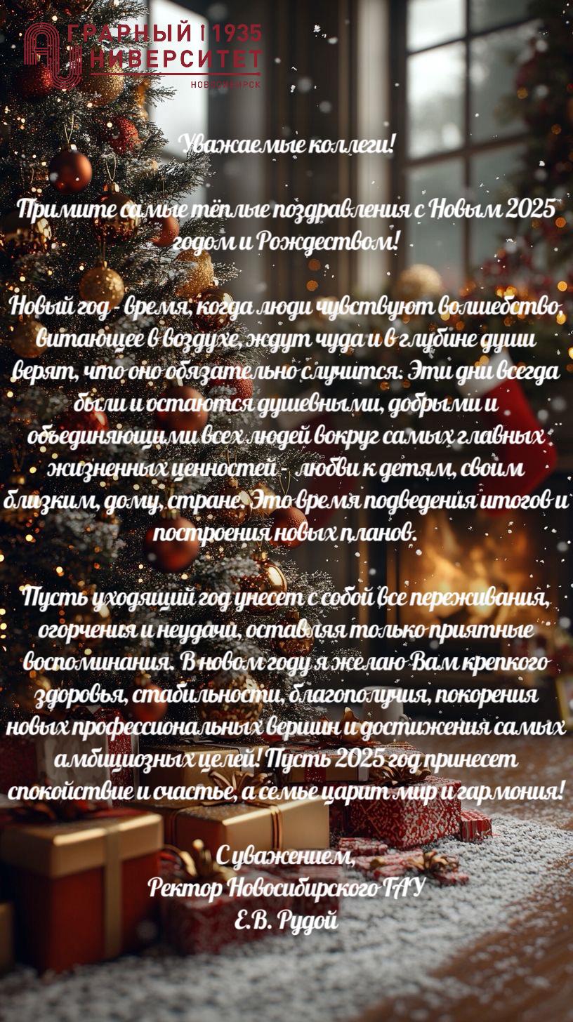 С наступающим Новым годом и Рождеством!