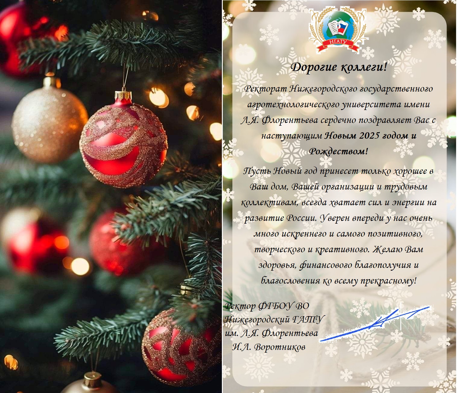 С наступающим Новым годом и Рождеством!