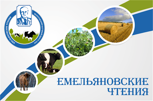 Преподаватели ГУЗ приняли участие в Емельяновских чтениях